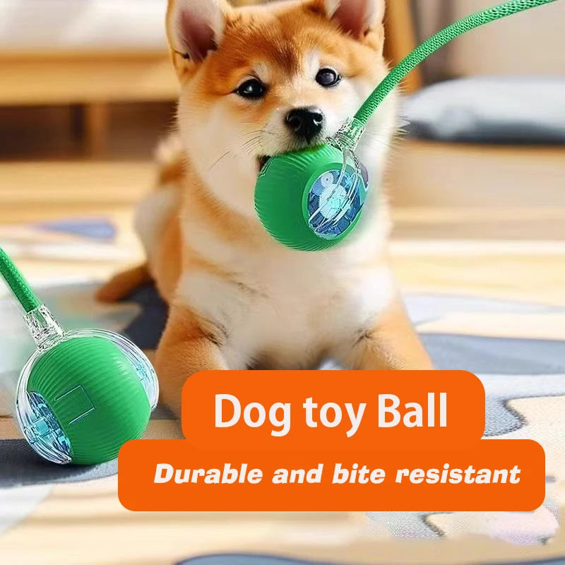 Interactive Ball,Automatic Rolling Dog Ball Rechargeable,Smart