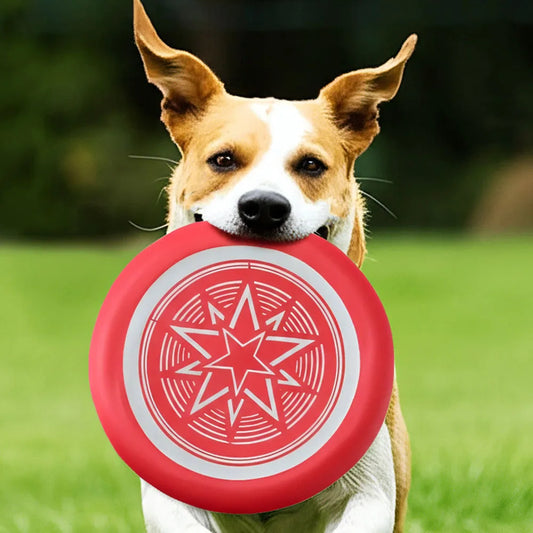 Soft Bite-Resistant Fluorescent Training Disc