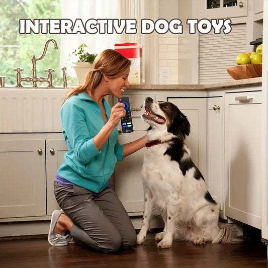 Dog Teething Toy Silicone Remote Control