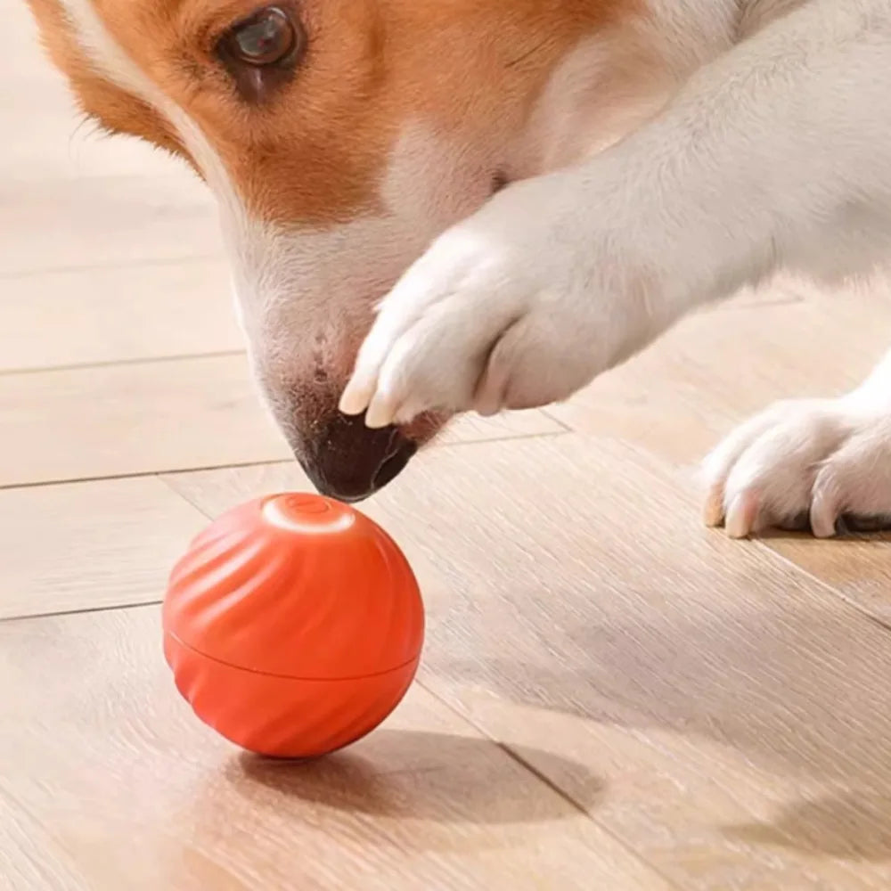 USB Jumping Rotating Interactive Dog Chew Toy