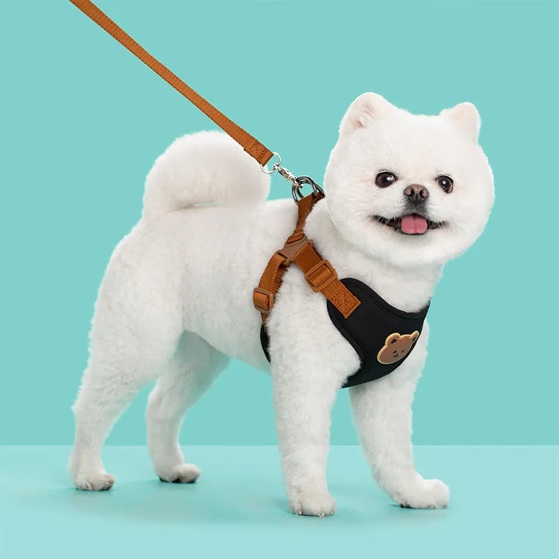 Pet Dog Harness Leash Set Small Medium