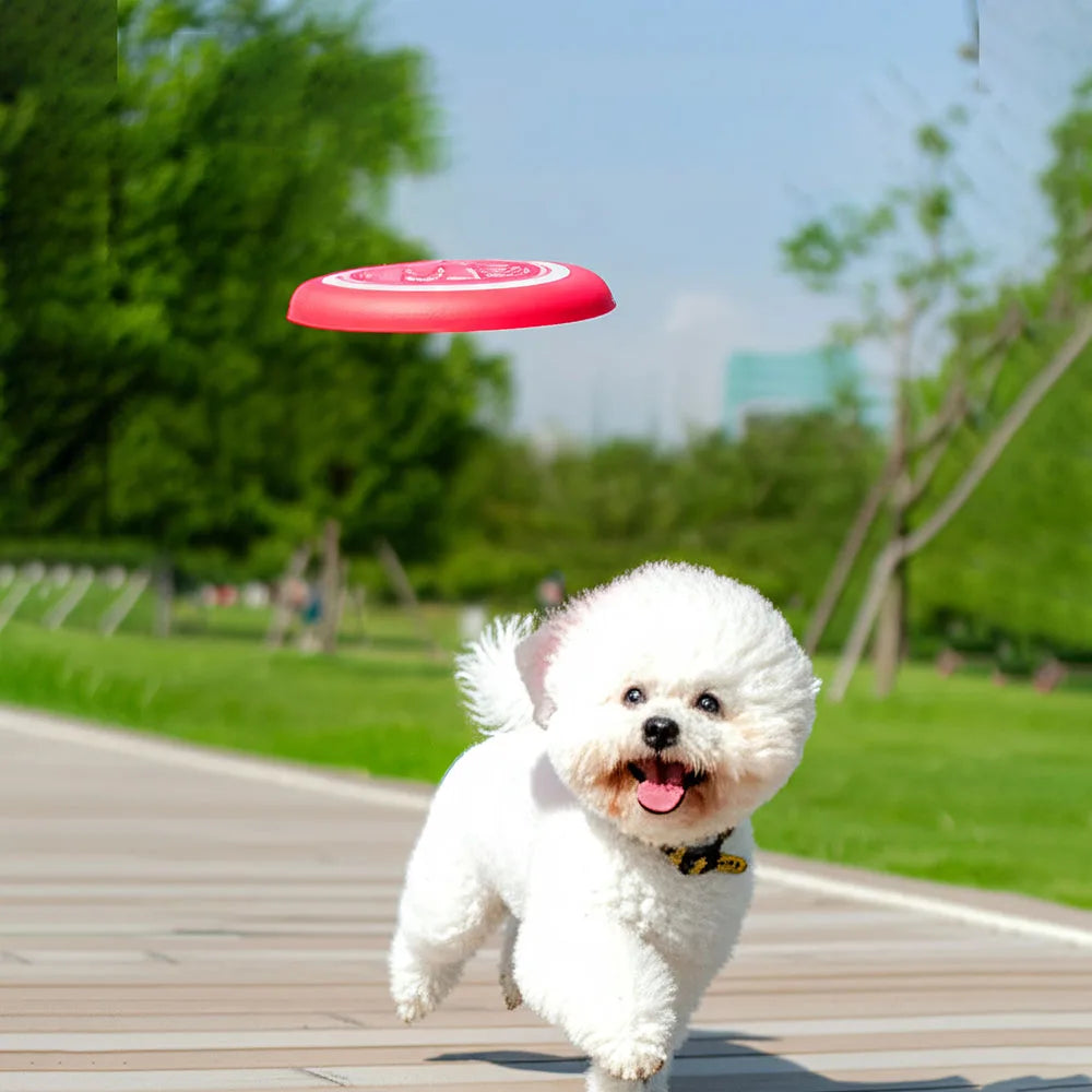 Soft Bite-Resistant Fluorescent Training Disc