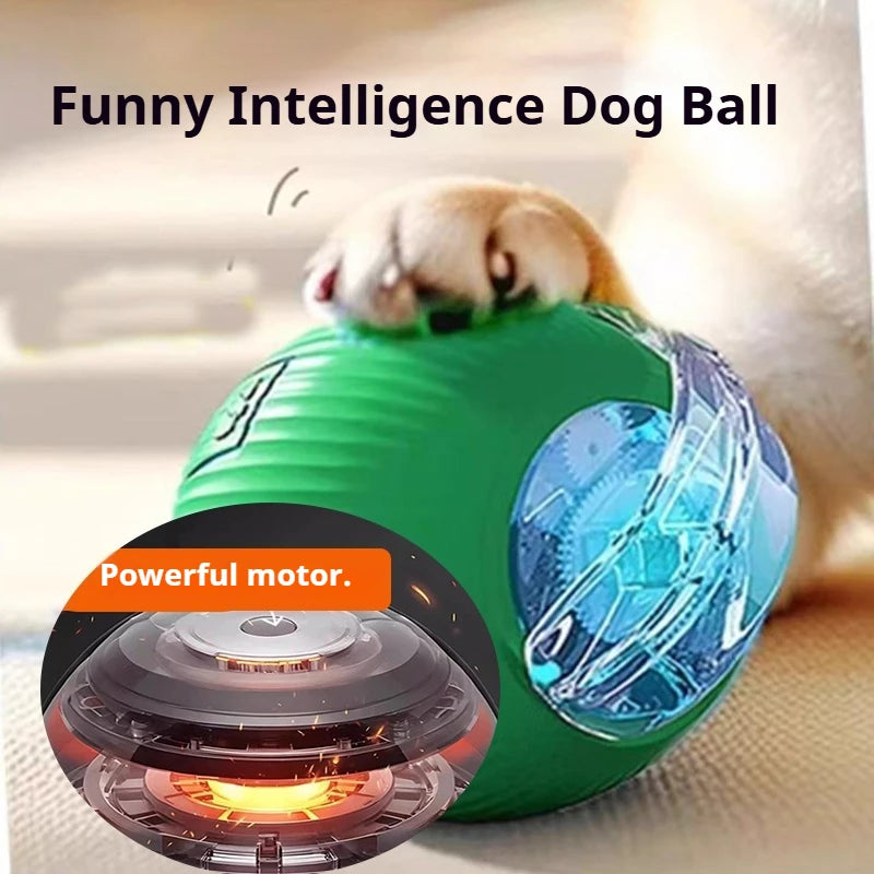 Interactive Ball,Automatic Rolling Dog Ball Rechargeable,Smart