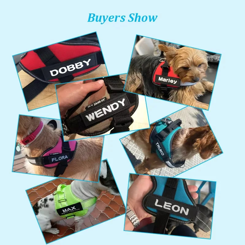 Pet Harness Custom ID Tag