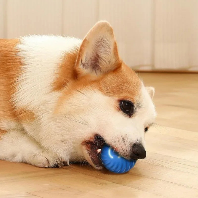 USB Jumping Rotating Interactive Dog Chew Toy