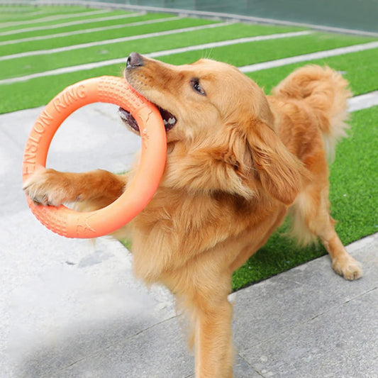 Interactive Training Ring Puller for Dogs