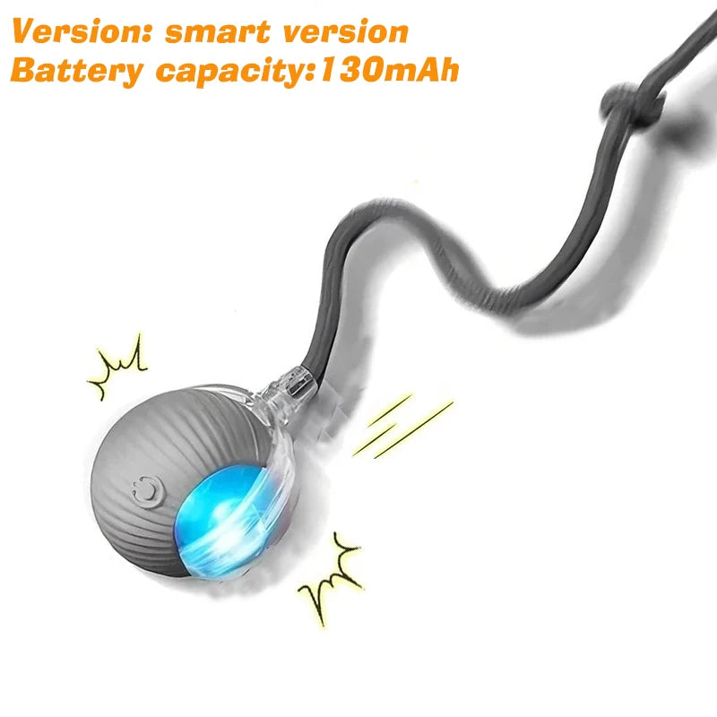 Interactive Ball,Automatic Rolling Dog Ball Rechargeable,Smart
