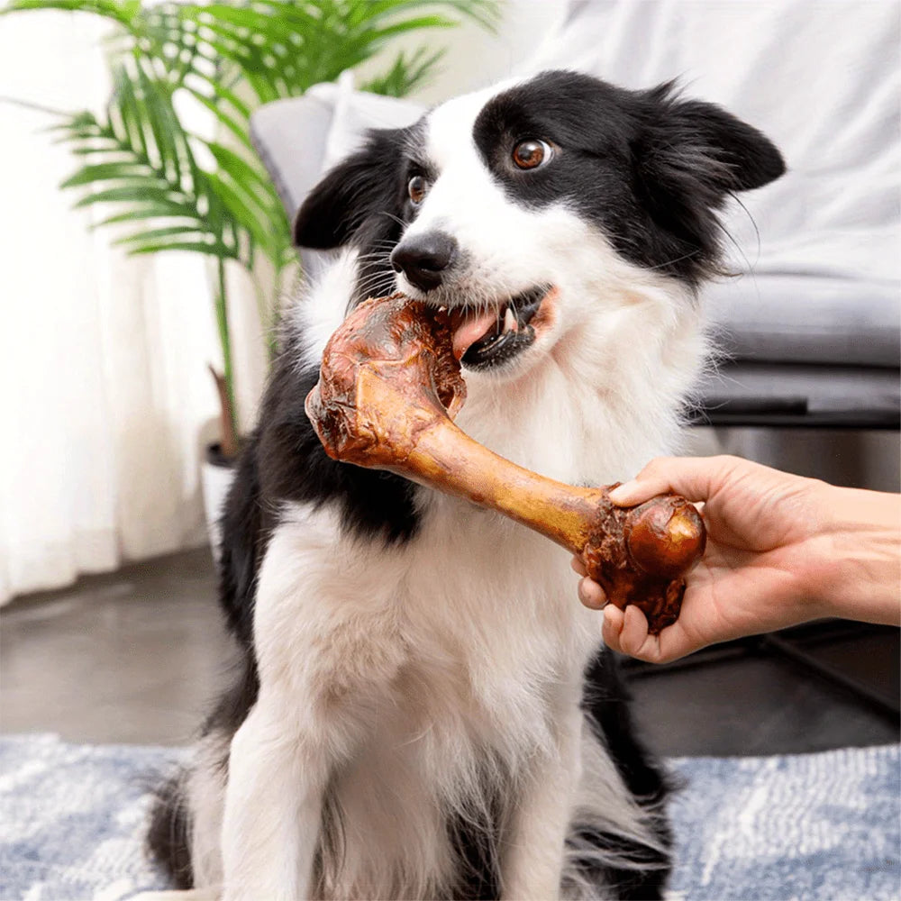 Large Cow Bone, Healthy, Easily Digestible,