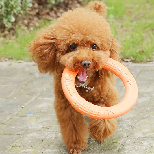Interactive Training Ring Puller for Dogs