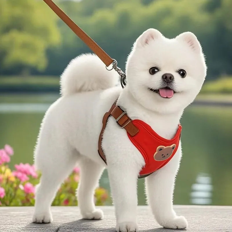 Pet Dog Harness Leash Set Small Medium
