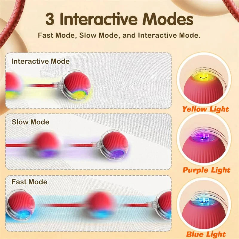 Interactive Ball,Automatic Rolling Dog Ball Rechargeable,Smart