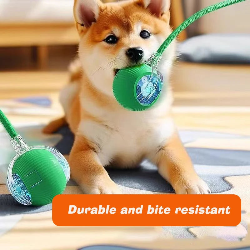 Interactive Ball,Automatic Rolling Dog Ball Rechargeable,Smart