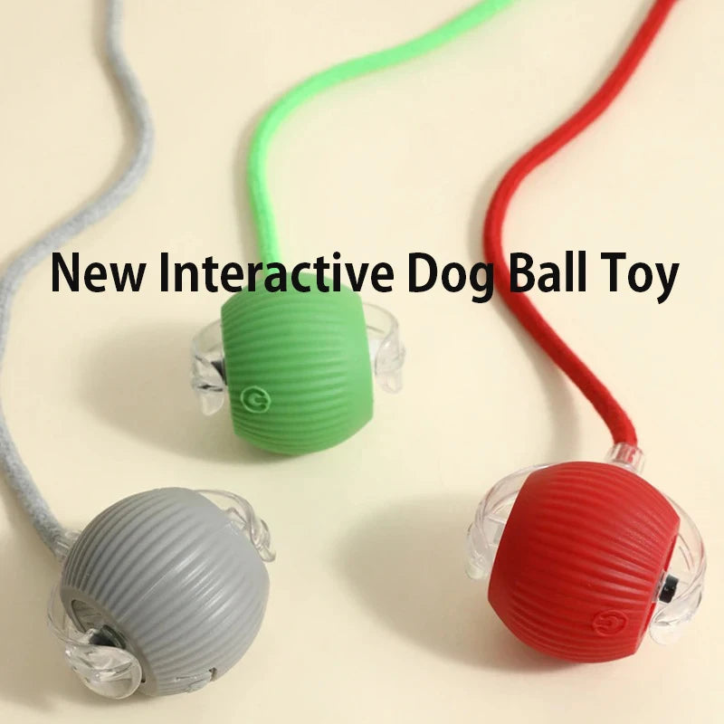 Interactive Ball,Automatic Rolling Dog Ball Rechargeable,Smart