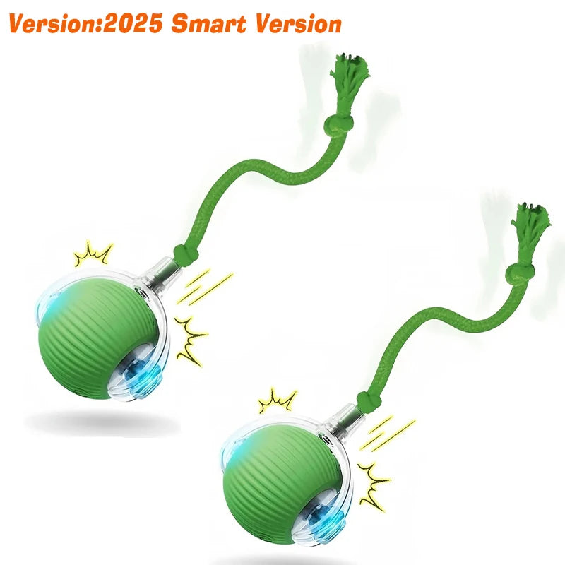 Interactive Ball,Automatic Rolling Dog Ball Rechargeable,Smart