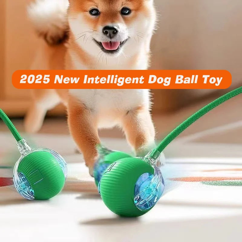 Interactive Ball,Automatic Rolling Dog Ball Rechargeable,Smart