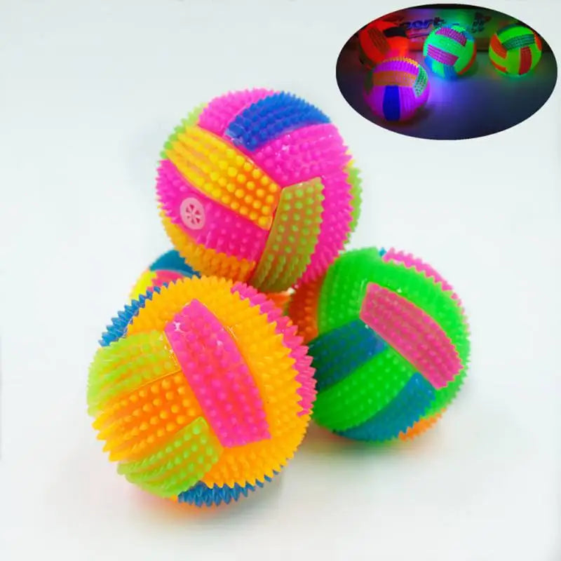 Glowing Ball Dog Interactive Toys