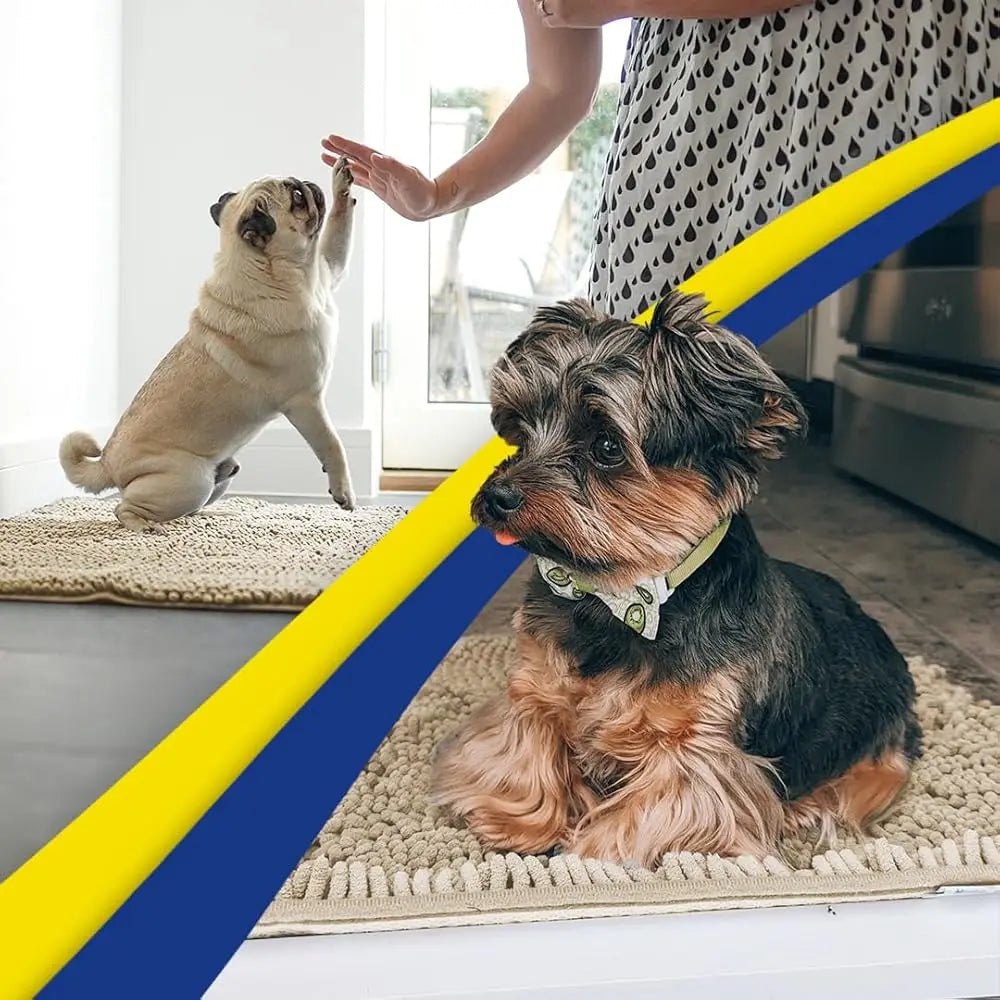 Entryway Dog Door Mat For Muddy Paws