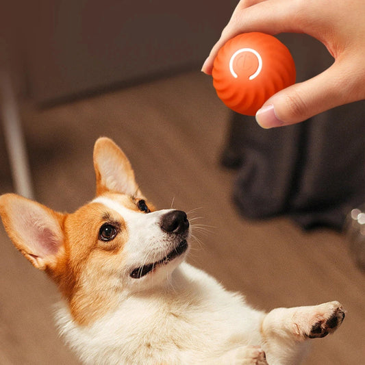 Dog Toy Ball Electronic Interactive Pet Toy Ball Electronic Interactive Fun, Stress Relieving Flexible Self Entertaining Ball