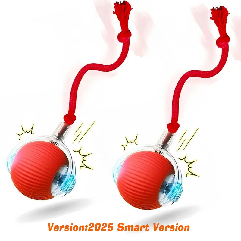 Interactive Ball,Automatic Rolling Dog Ball Rechargeable,Smart