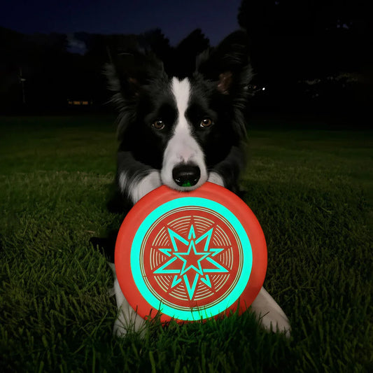 Soft Bite-Resistant Fluorescent Training Disc