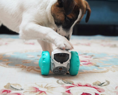 Dog Puzzle Toys Pet Food Interactive Tumbler