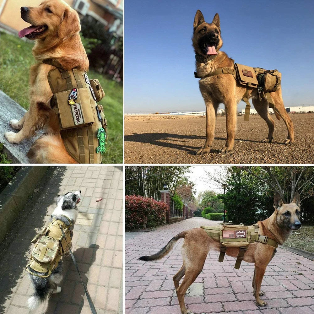 Dog Vest Harness Collar Personalized Patches