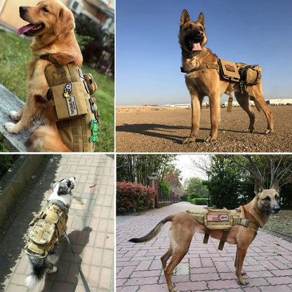 Dog Vest Harness Collar Personalized Patches