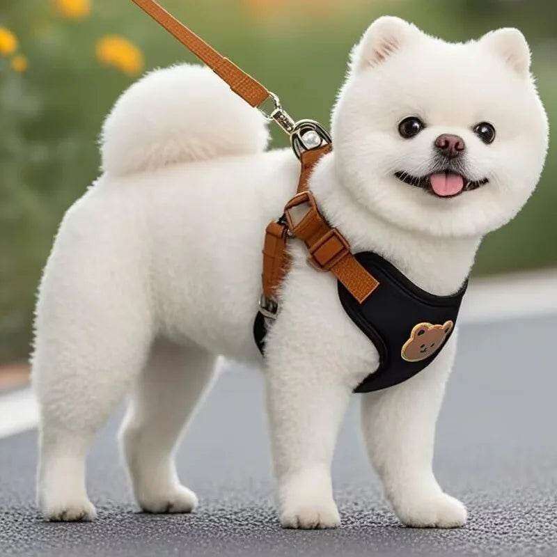 Pet Dog Harness Leash Set Small Medium