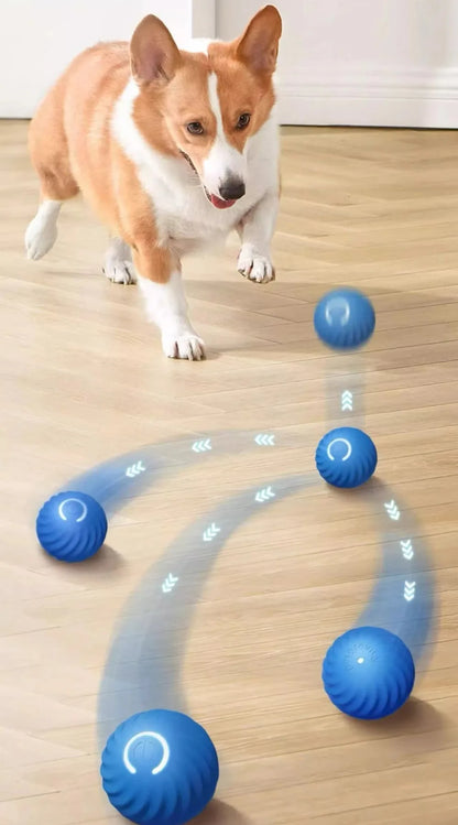 USB Jumping Rotating Interactive Dog Chew Toy