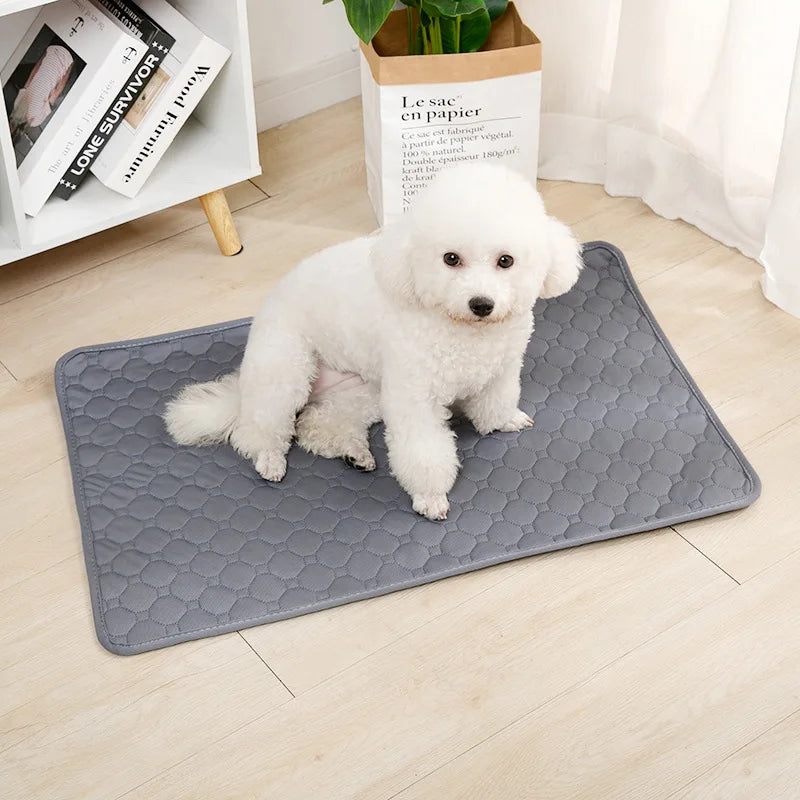 Reusable Dog Pee Pad Blanket Absorbent Diaper