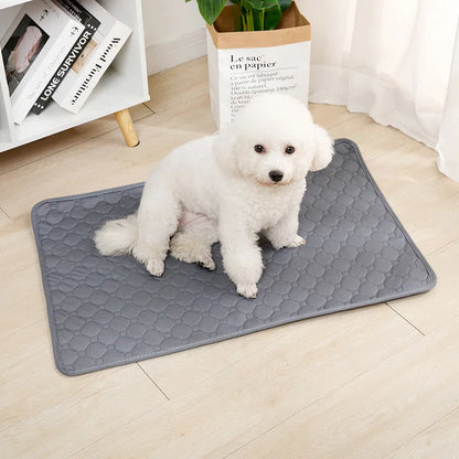 Reusable Dog Pee Pad Blanket Absorbent Diaper