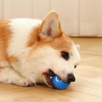 USB Jumping Rotating Interactive Dog Chew Toy