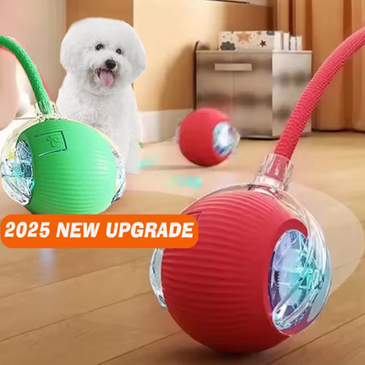 Interactive Ball,Automatic Rolling Dog Ball Rechargeable,Smart