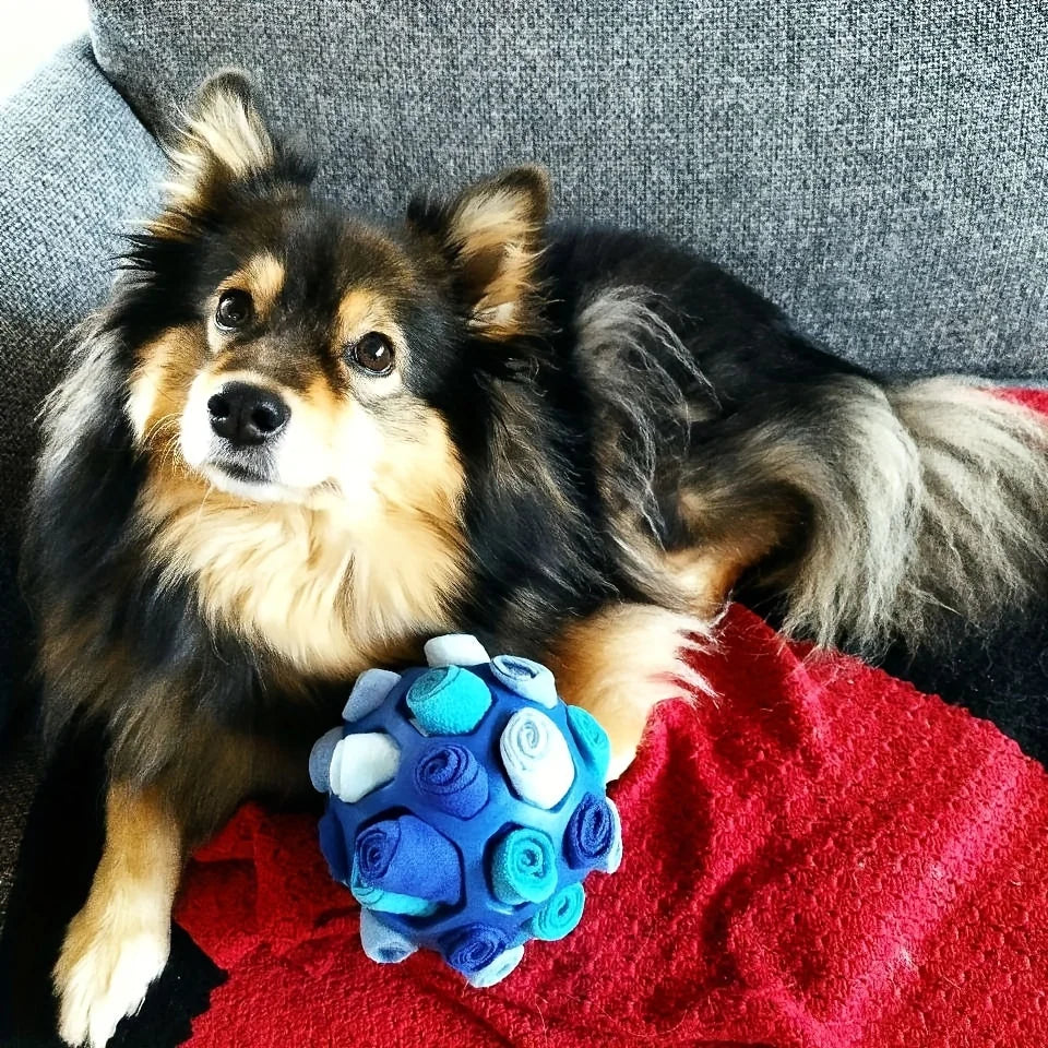Dog Toy - Sniffing Ball for Hiding Treats
