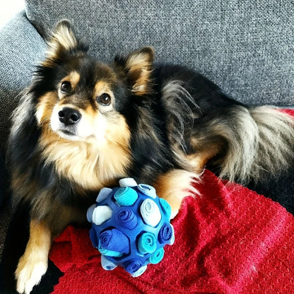 Dog Toy - Sniffing Ball for Hiding Treats