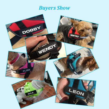 Pet Harness Custom ID Tag