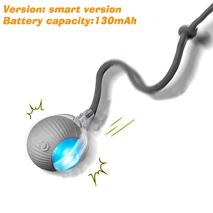Interactive Ball,Automatic Rolling Dog Ball Rechargeable,Smart