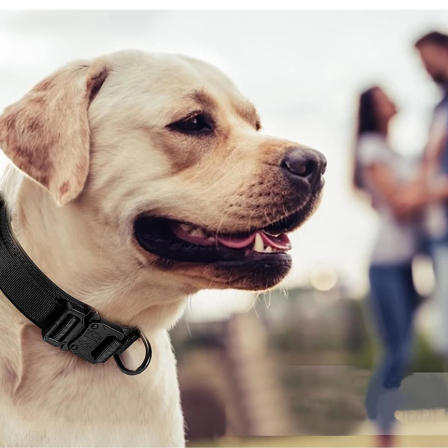 Heavy-Duty Military Tactical Dog Collar & Leash