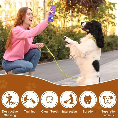 Dog Teething Toy Silicone Remote Control