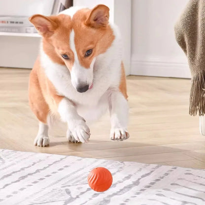 USB Jumping Rotating Interactive Dog Chew Toy