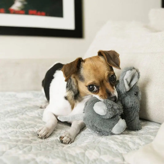Elephant Dog Toy KONG Squeaker