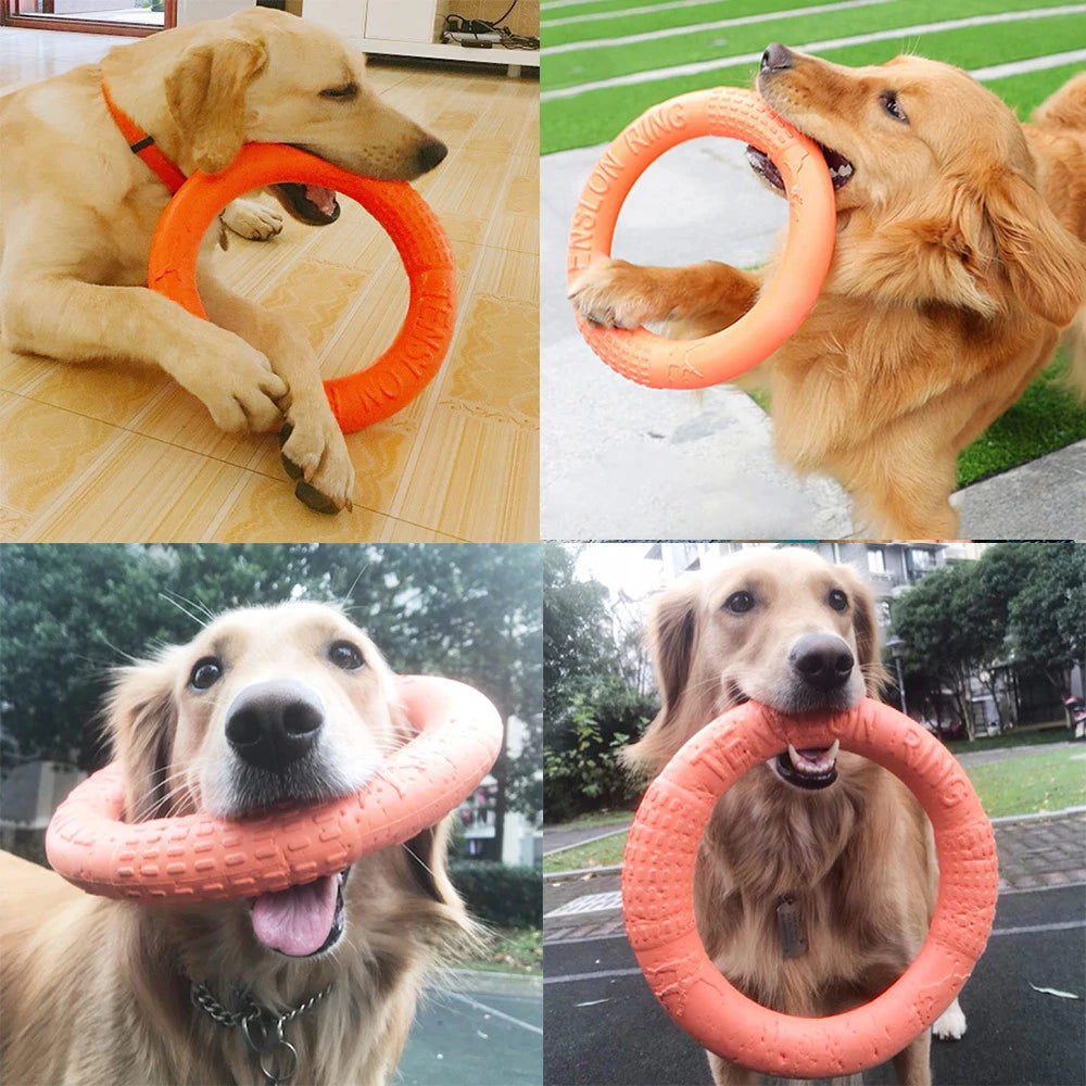 Interactive Training Ring Puller for Dogs
