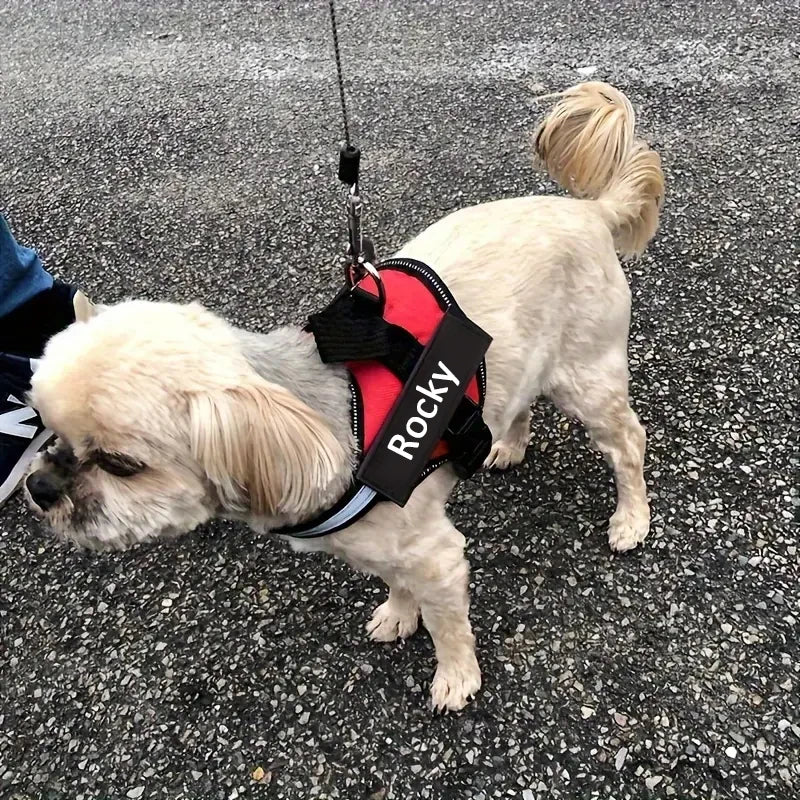 Pet Harness Custom ID Tag