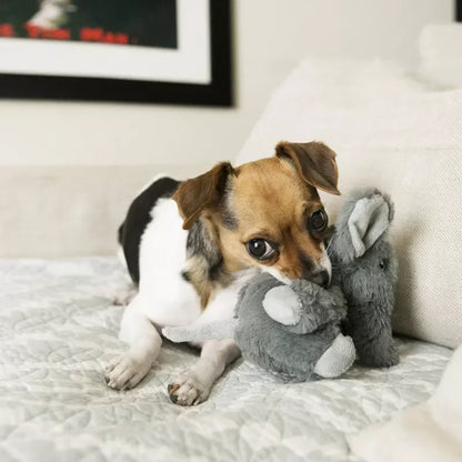 Elephant Dog Toy KONG Squeaker