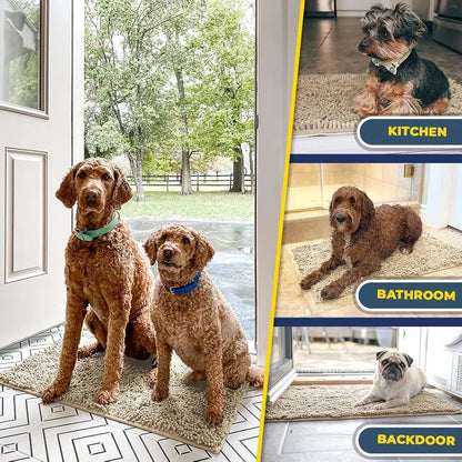 Entryway Dog Door Mat For Muddy Paws