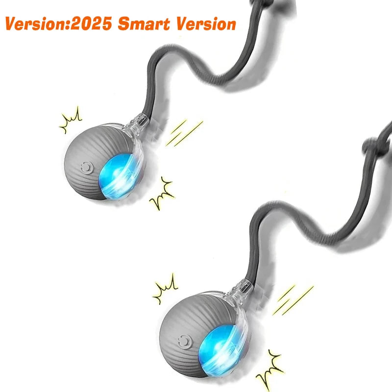 Interactive Ball,Automatic Rolling Dog Ball Rechargeable,Smart
