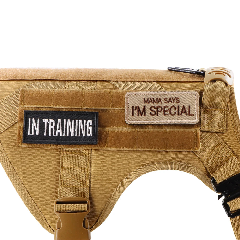Dog Vest Harness Collar Personalized Patches