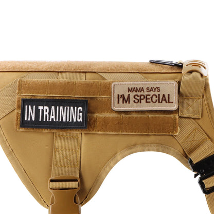 Dog Vest Harness Collar Personalized Patches
