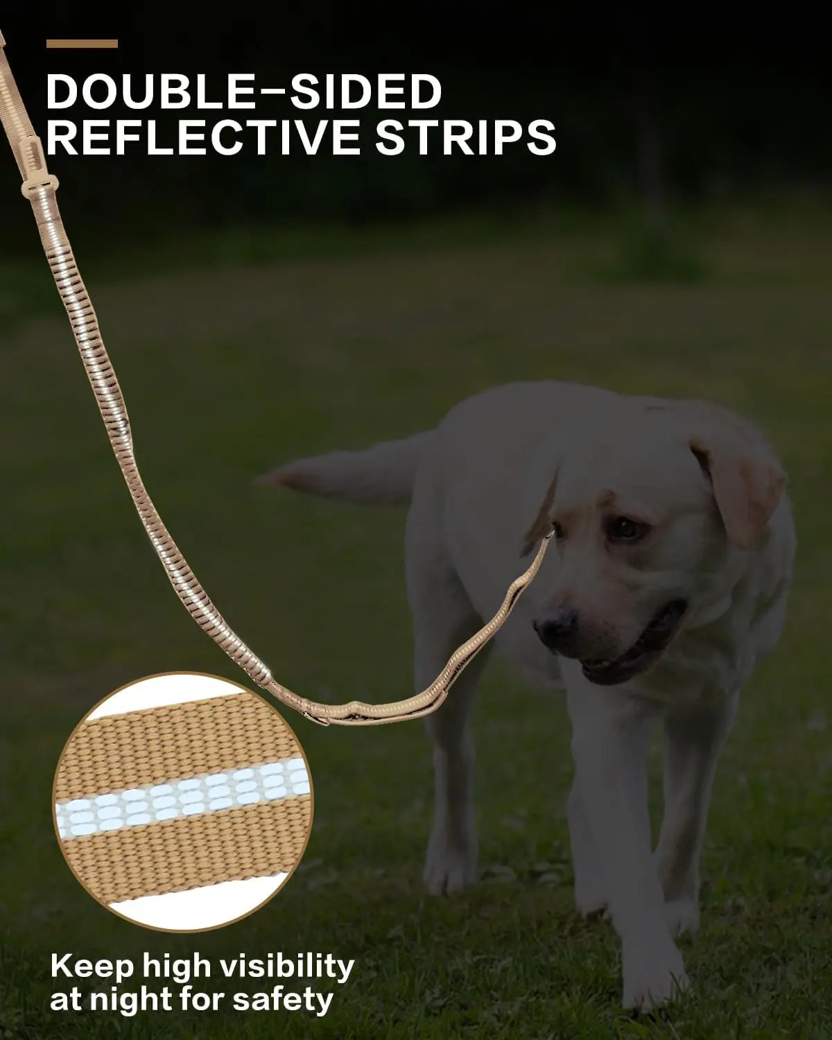 Reflective Shock Absorbing Pet Leashes