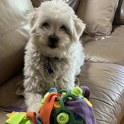 Dog Toy - Sniffing Ball for Hiding Treats